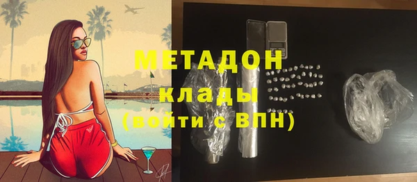 прущие грибы Магадан