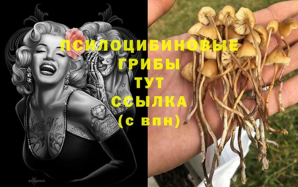 марки lsd Мурманск