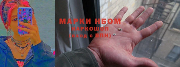 прущие грибы Магадан