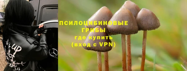 стафф Майский