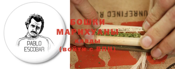 прущие грибы Магадан