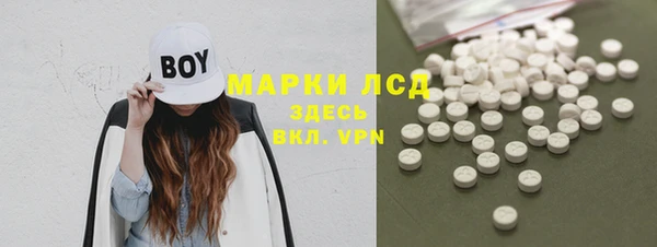 прущие грибы Магадан