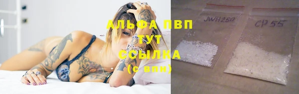стафф Майский
