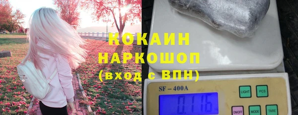 прущие грибы Магадан